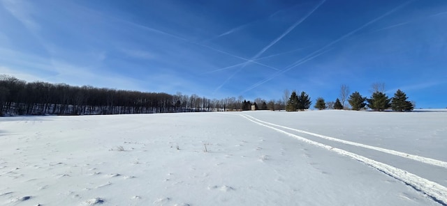 45 Kronus Rd, Erin, NY 14838