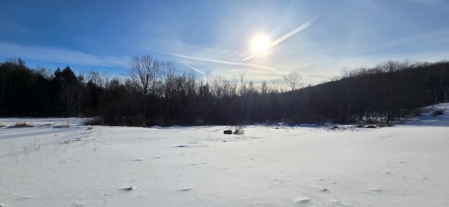 45 Kronus Rd, Erin, NY 14838