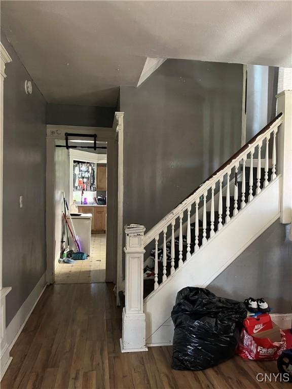 staircase with wood-type flooring