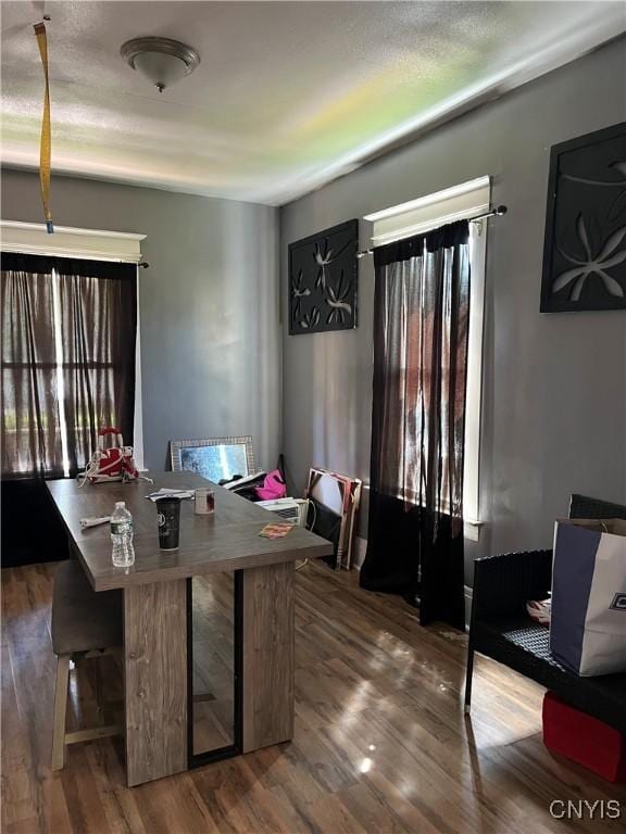 dining room with wood-type flooring