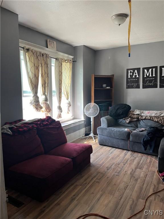 living room featuring wood-type flooring