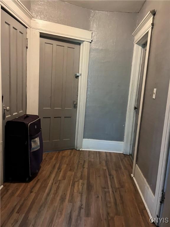 entryway featuring dark hardwood / wood-style flooring