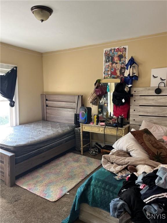 bedroom featuring carpet flooring