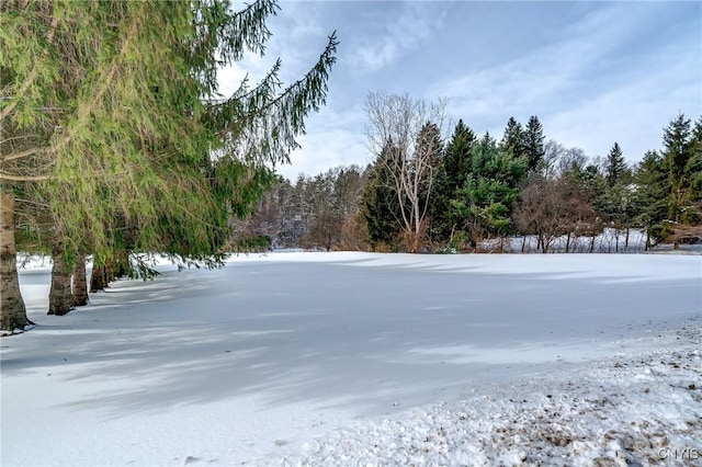 view of yard layered in snow