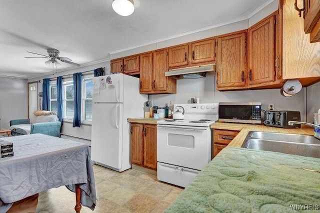 kitchen featuring crown molding, sink, white appliances, and ceiling fan