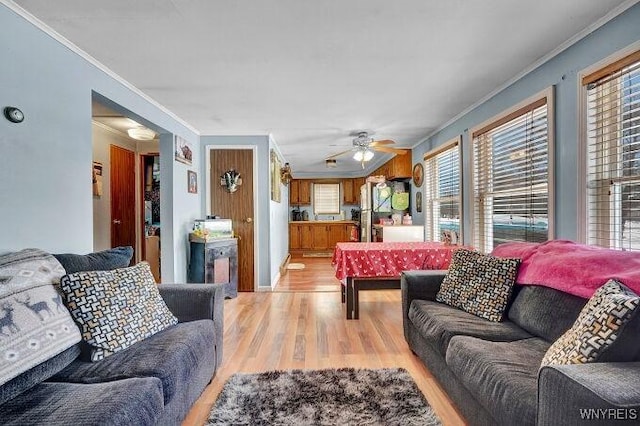 living room featuring crown molding, light hardwood / wood-style floors, and ceiling fan