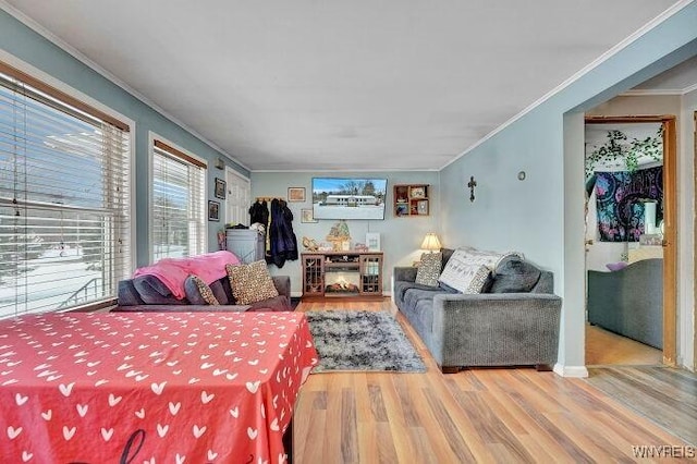 bedroom with crown molding and wood-type flooring