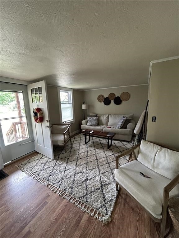 living room featuring hardwood / wood-style flooring and a textured ceiling