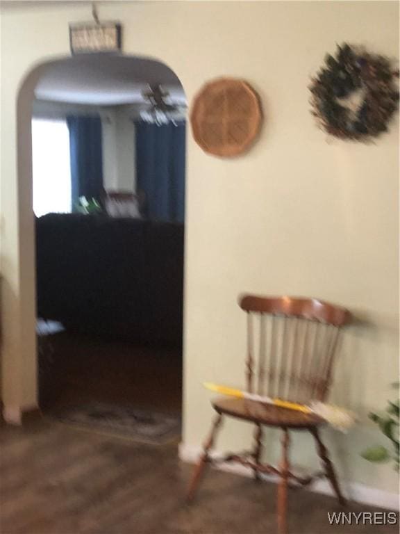 hallway featuring hardwood / wood-style flooring