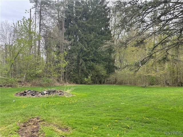 3714 Ransomville Rd, Porter, NY 14131 - photo 33