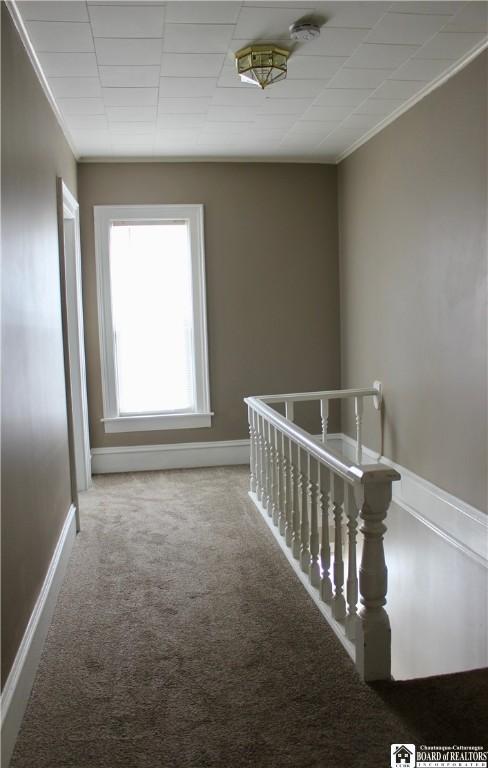 hallway featuring ornamental molding and carpet flooring