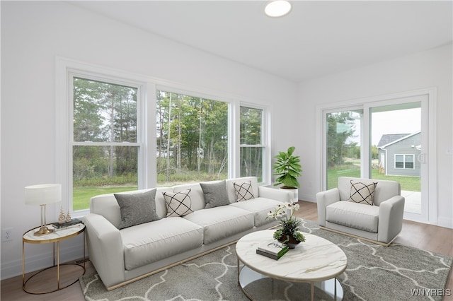 interior space with hardwood / wood-style flooring