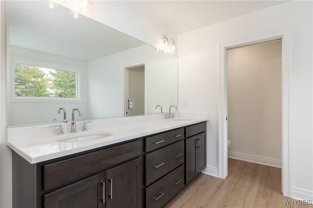 bathroom with vanity, wood-type flooring, and toilet