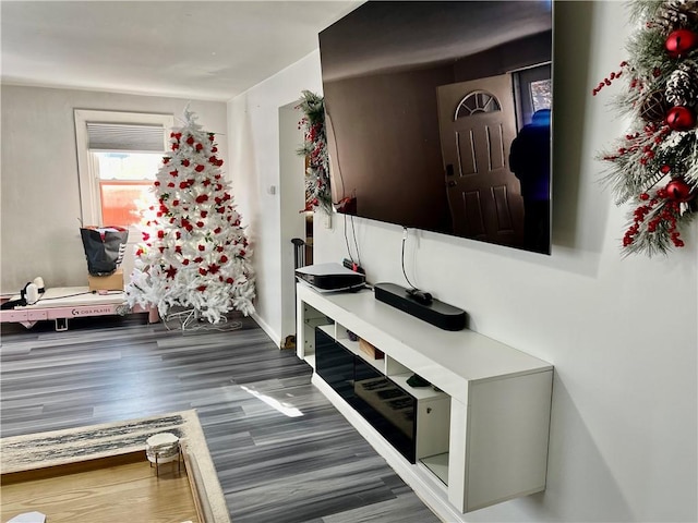 interior space with dark hardwood / wood-style floors