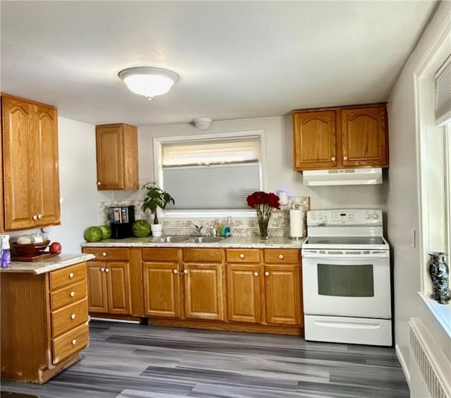 kitchen featuring white electric range, dark hardwood / wood-style flooring, and sink