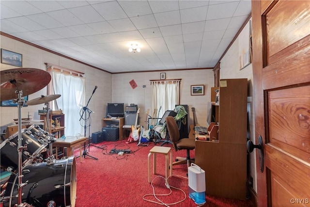 misc room featuring ornamental molding and carpet