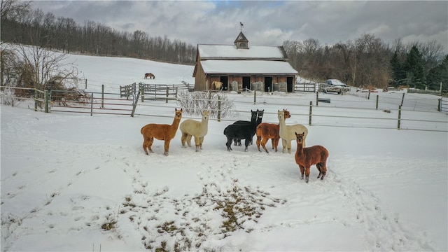 view of horse barn