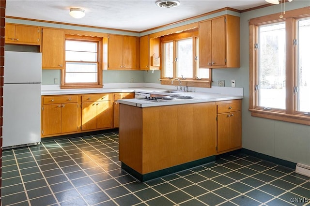 kitchen featuring sink, a wealth of natural light, ornamental molding, and white fridge