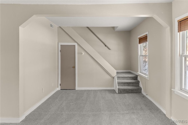 staircase featuring carpet flooring