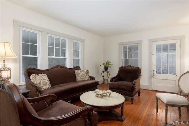 living room featuring wood-type flooring