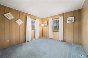 unfurnished room with carpet floors and wooden walls