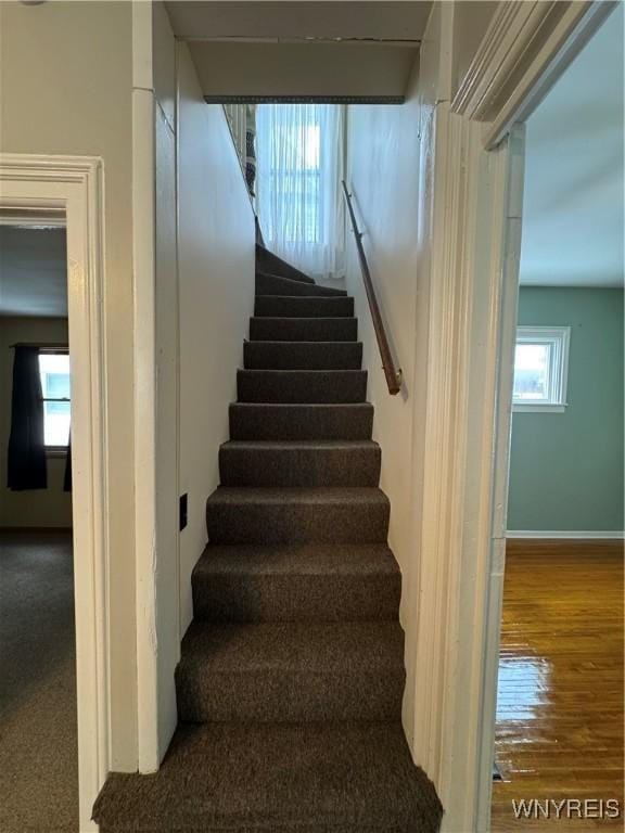 stairs with hardwood / wood-style flooring