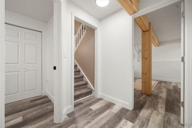 stairway with hardwood / wood-style floors