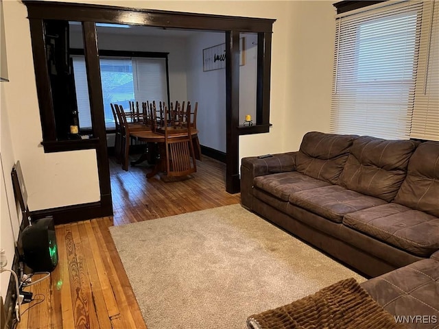 living room with wood-type flooring