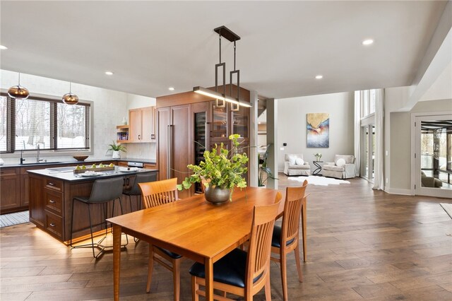 dining space with sink and dark wood-type flooring