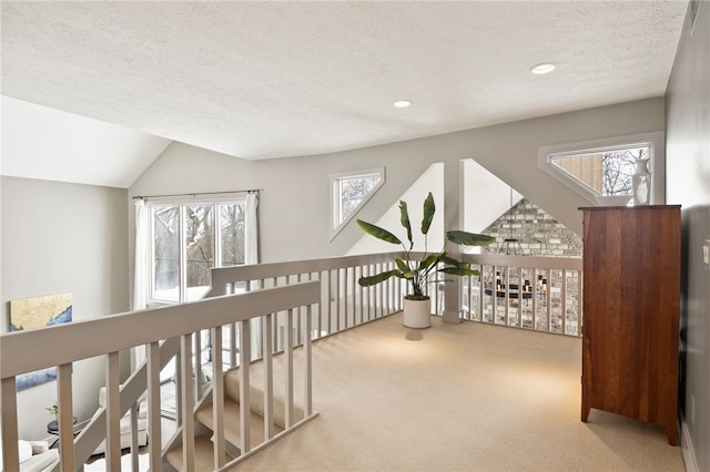 hallway featuring a healthy amount of sunlight, carpet, and a textured ceiling