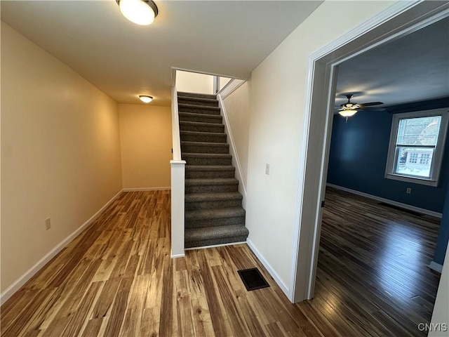 stairs with hardwood / wood-style flooring and ceiling fan