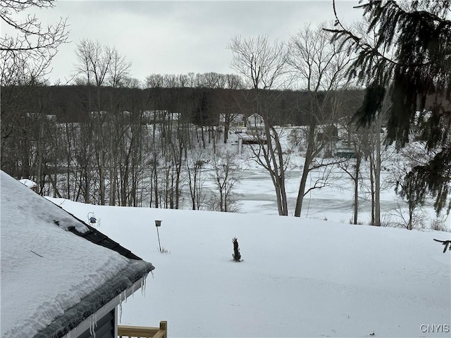 view of yard layered in snow