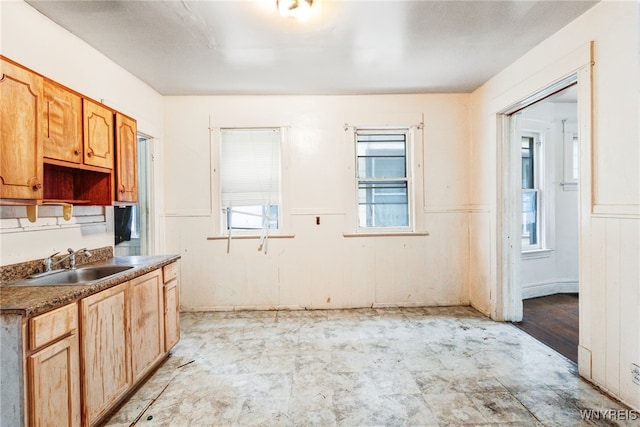 kitchen featuring sink