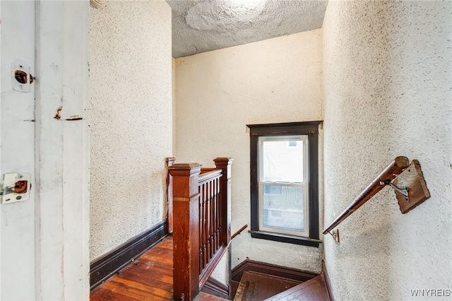 stairs featuring hardwood / wood-style flooring