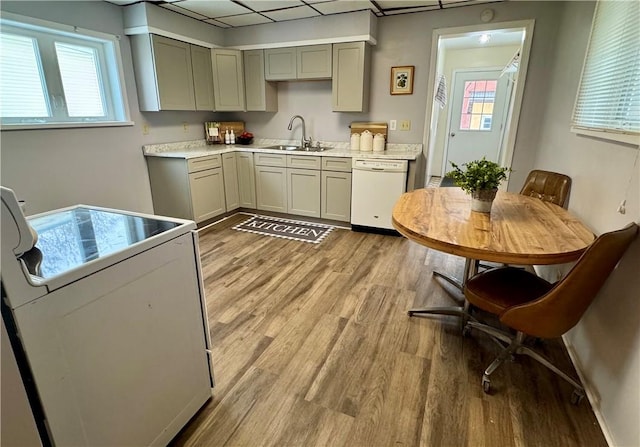 kitchen with sink, gray cabinetry, stove, white dishwasher, and light hardwood / wood-style floors