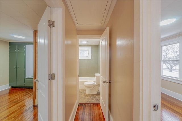 hallway featuring plenty of natural light and light wood-type flooring