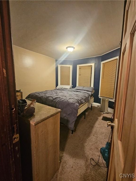 bedroom with radiator heating unit and dark colored carpet