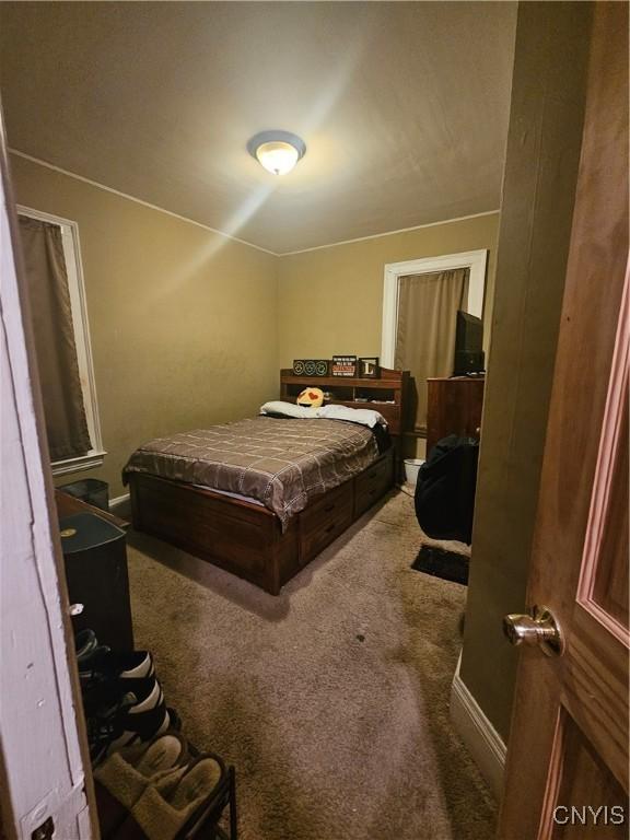 bedroom with carpet flooring