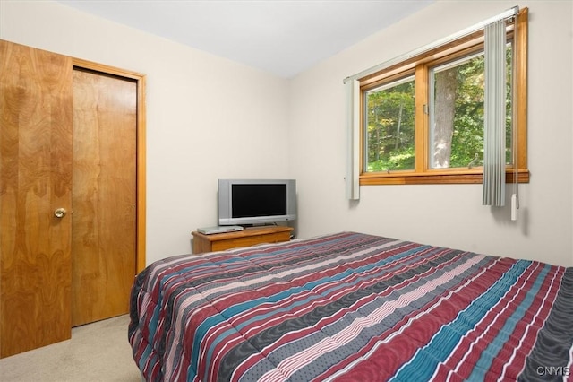 bedroom featuring light carpet