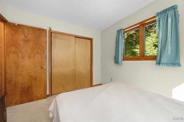 carpeted bedroom with a closet