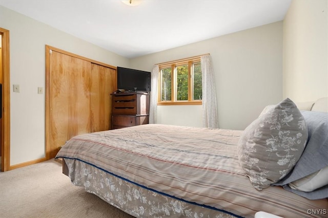 bedroom featuring carpet floors and a closet