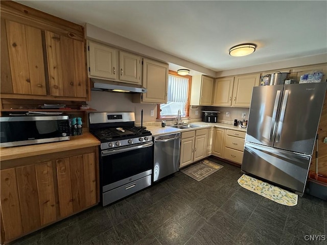 kitchen featuring sink and stainless steel appliances