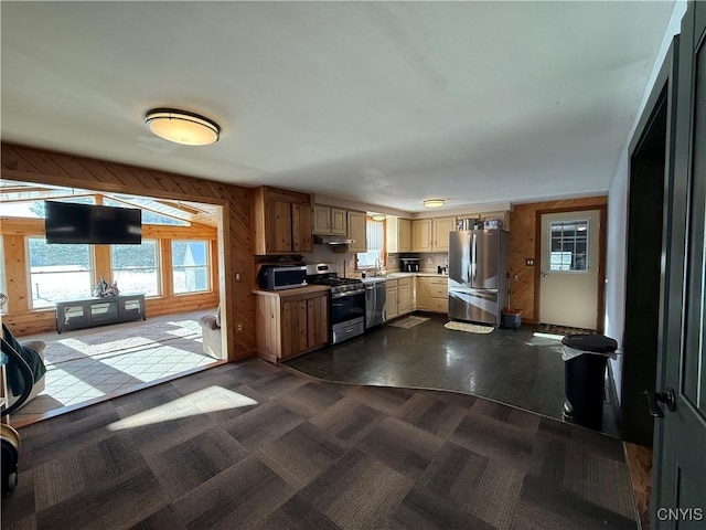 kitchen with dark colored carpet, appliances with stainless steel finishes, sink, and wood walls