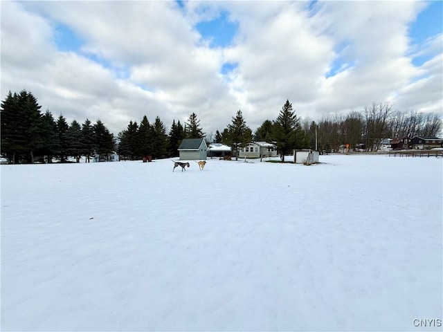 view of snowy yard