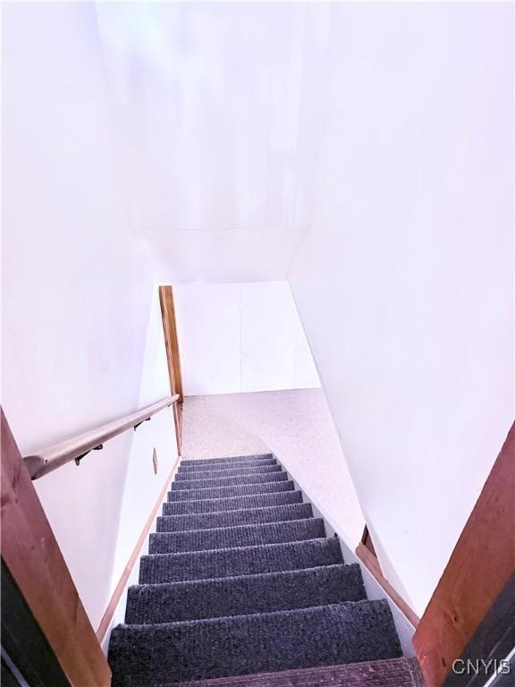 stairway with carpet flooring