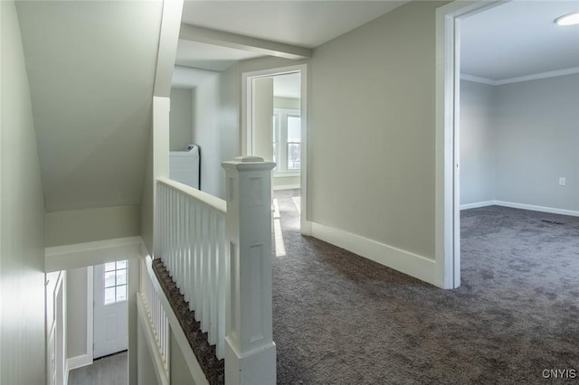 corridor with carpet floors and ornamental molding