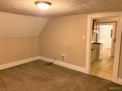 additional living space featuring lofted ceiling, light carpet, and a textured ceiling