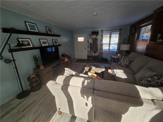 living room featuring hardwood / wood-style floors