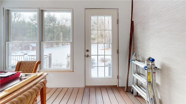 doorway featuring a wealth of natural light and wood-type flooring