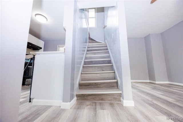 staircase with wood-type flooring